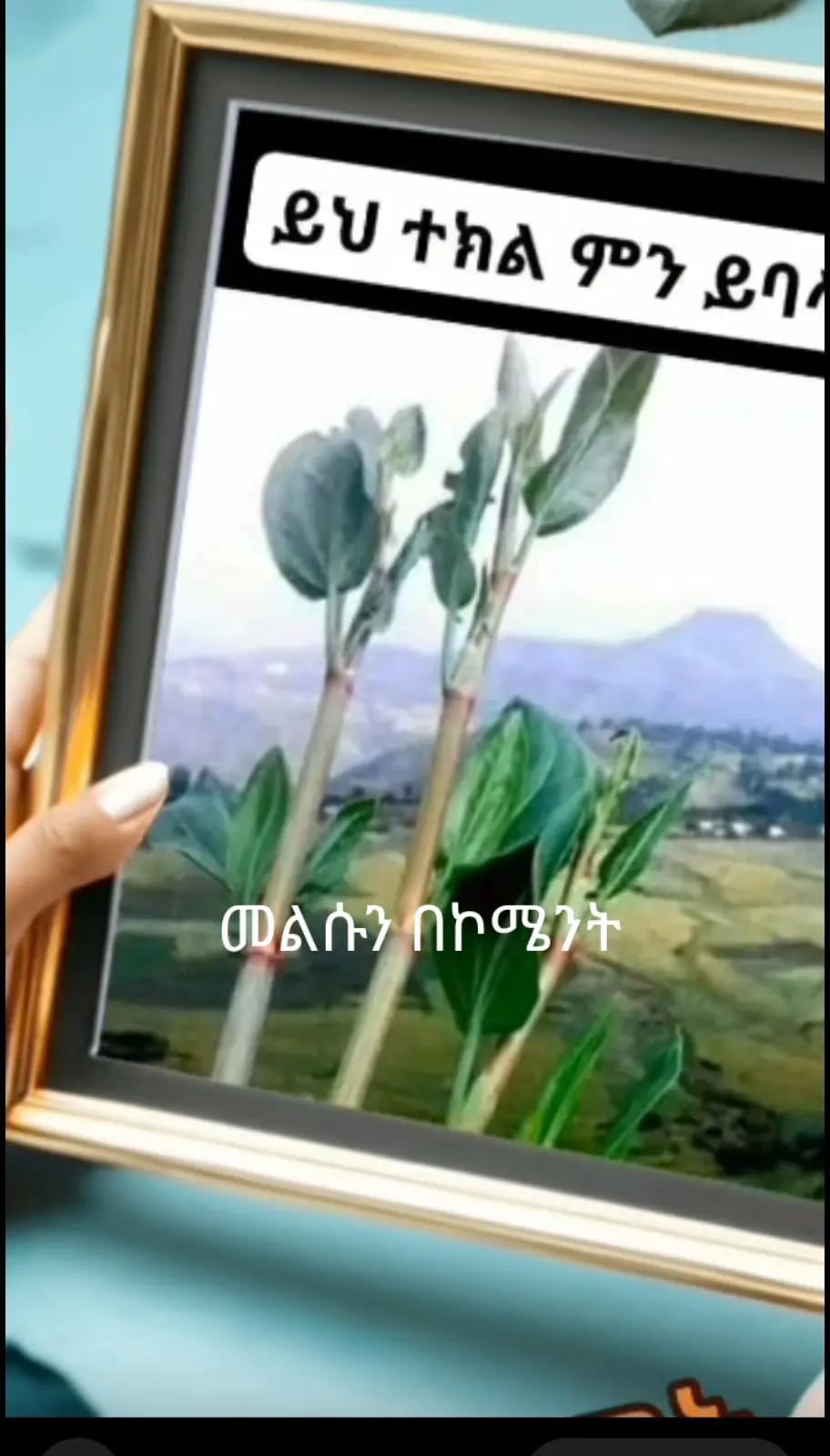 @dig