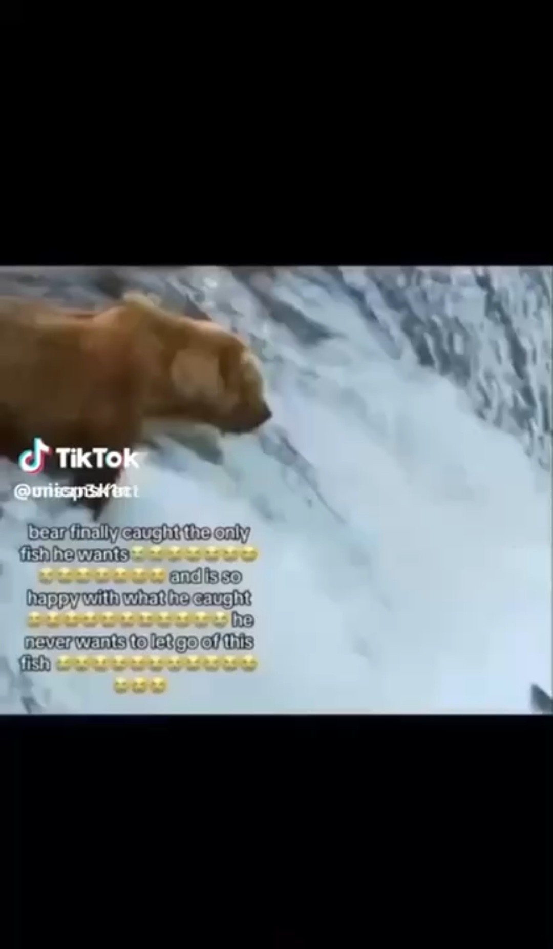 @๐ฉถ• ๐น๐ช๐ฒ๐ฐ๐ฎ๐๐ •๐ชฝ