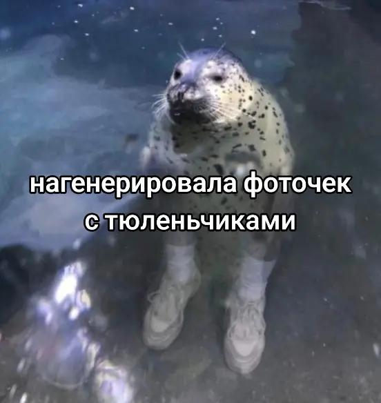 @౨ৎ.Ⲭⲁⲕⲟⲱυ⋆·˚ *🦭