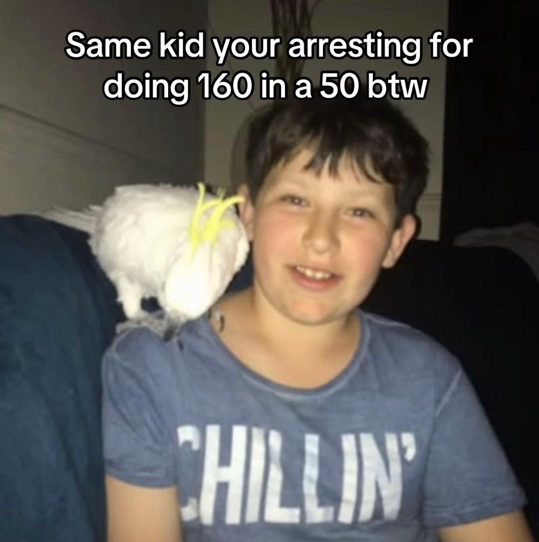 @05_rexy