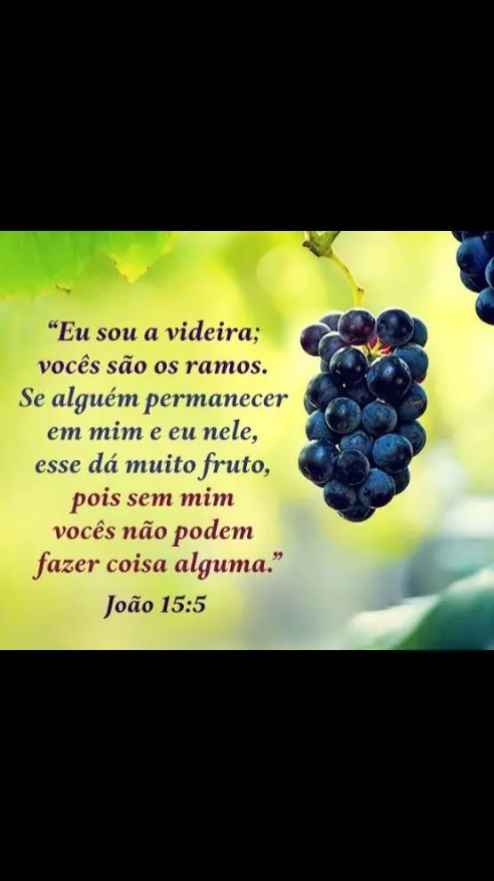 @profeciadejesus