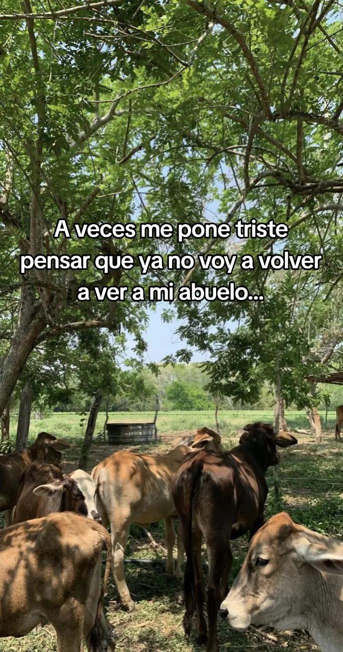 @alejandra flores