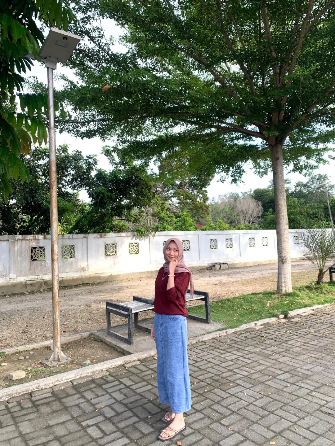 @aulia siregar