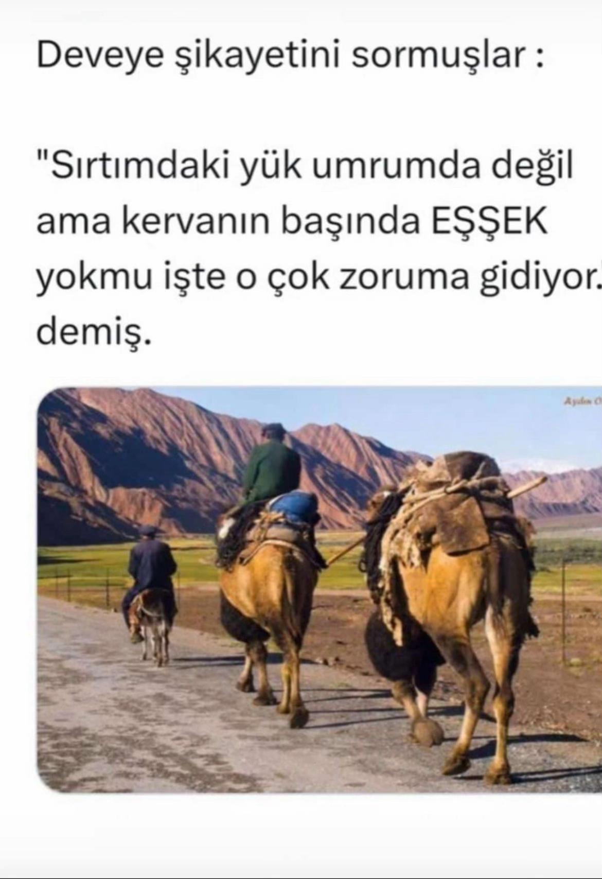 @Lokman Çetinkaya