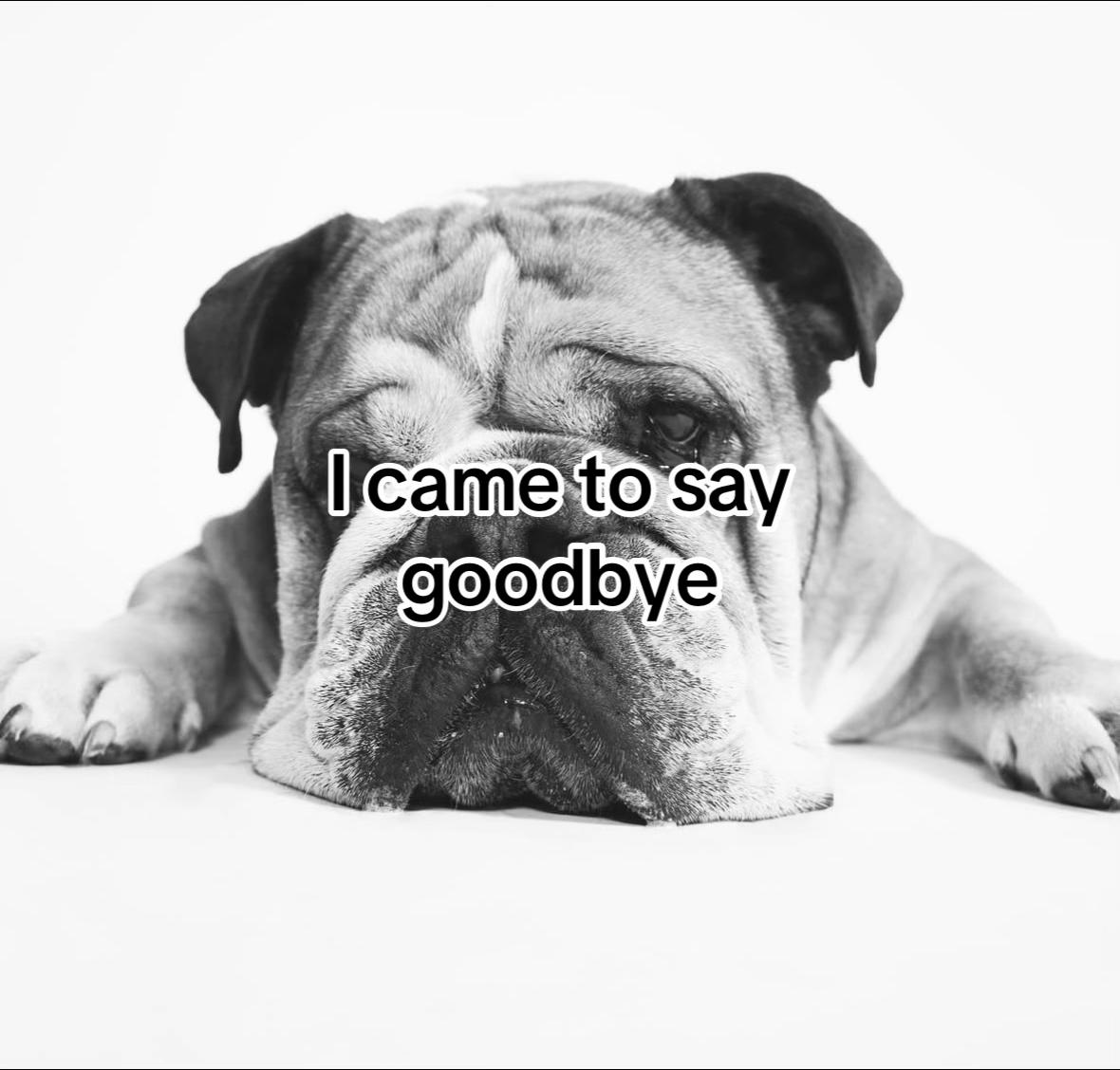 @ 