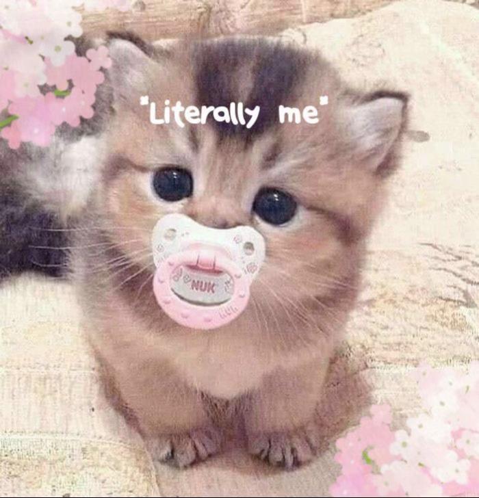 @vanna