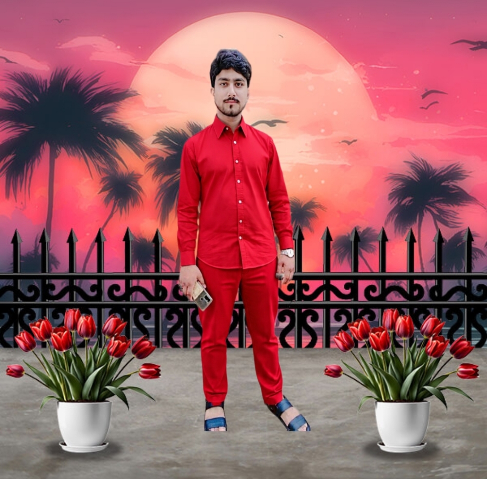 @mudassarjutt223