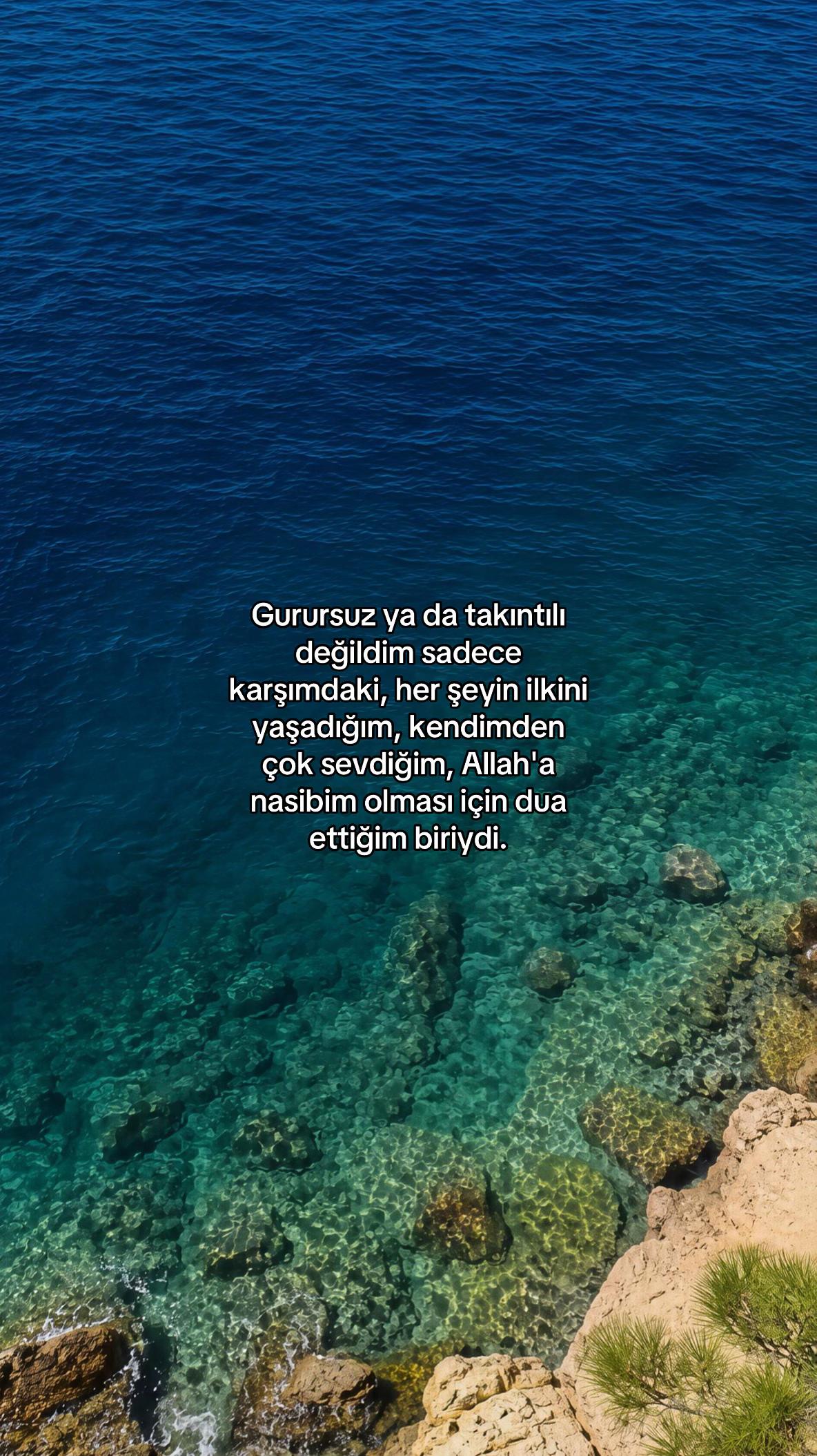 @zem