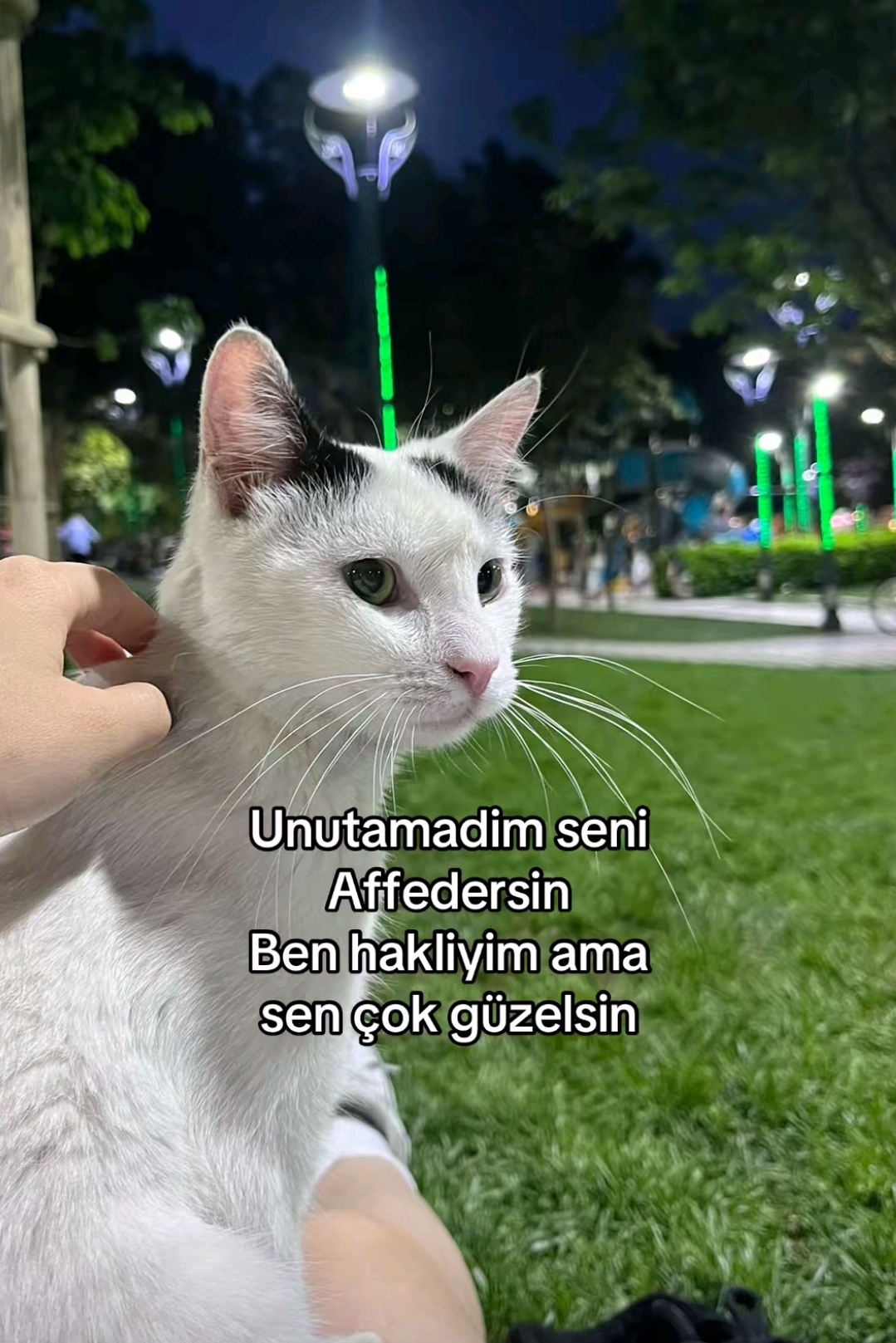 @Sahra Arslan_🐅🇹🇷