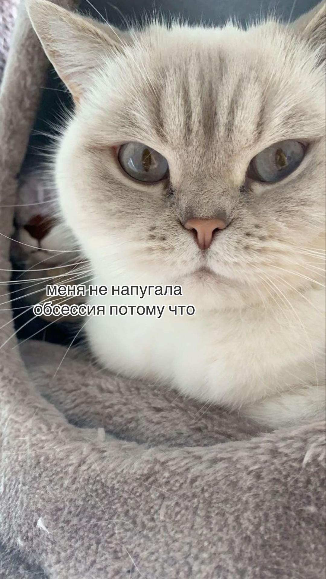 @мамин хep
