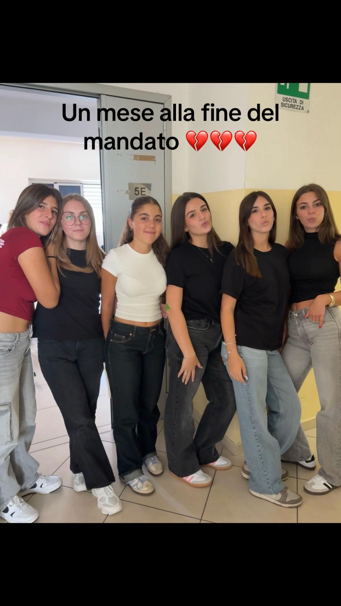 @auroradinota