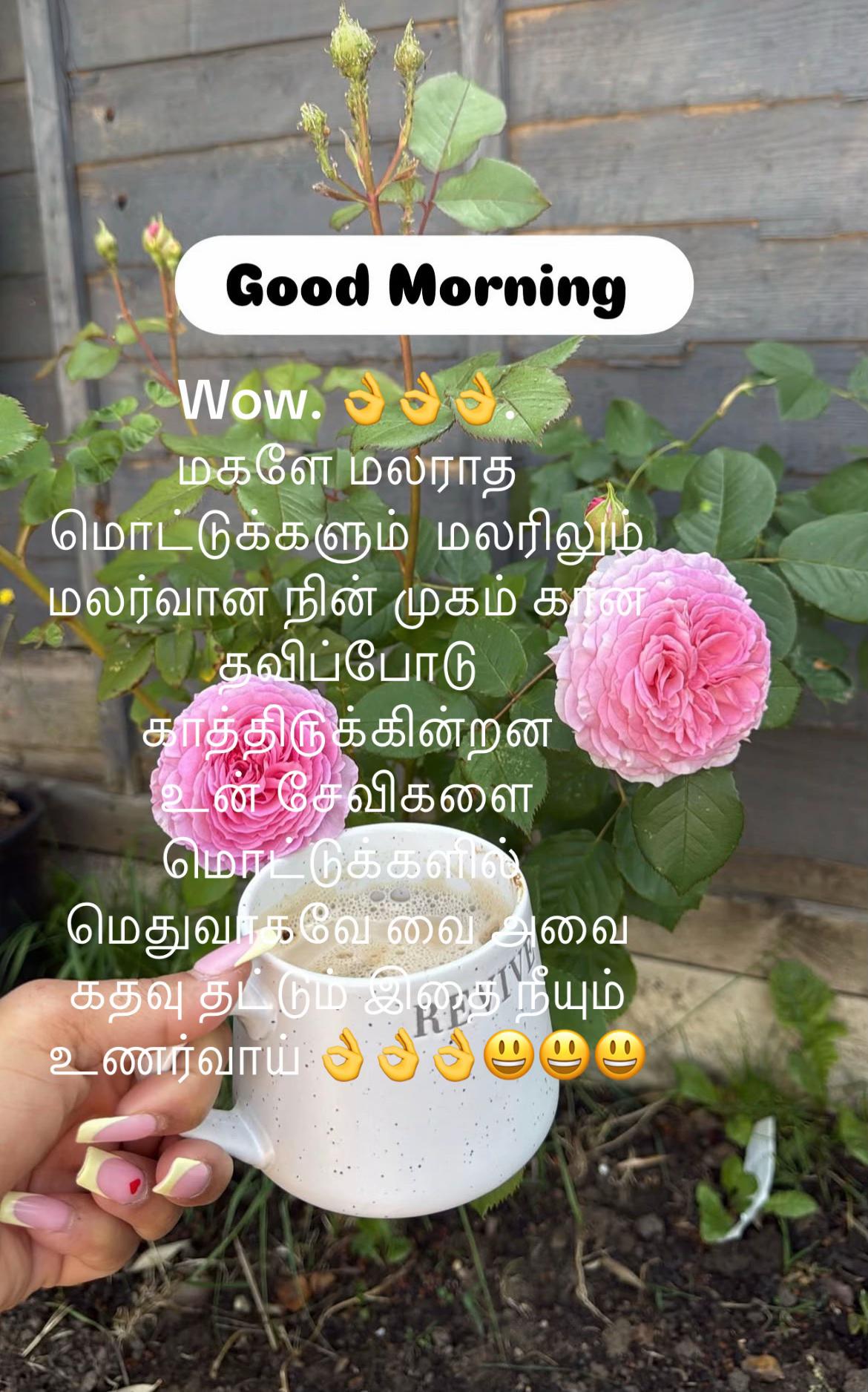 @Puthuvai Aru குமரிக்கண்டம்