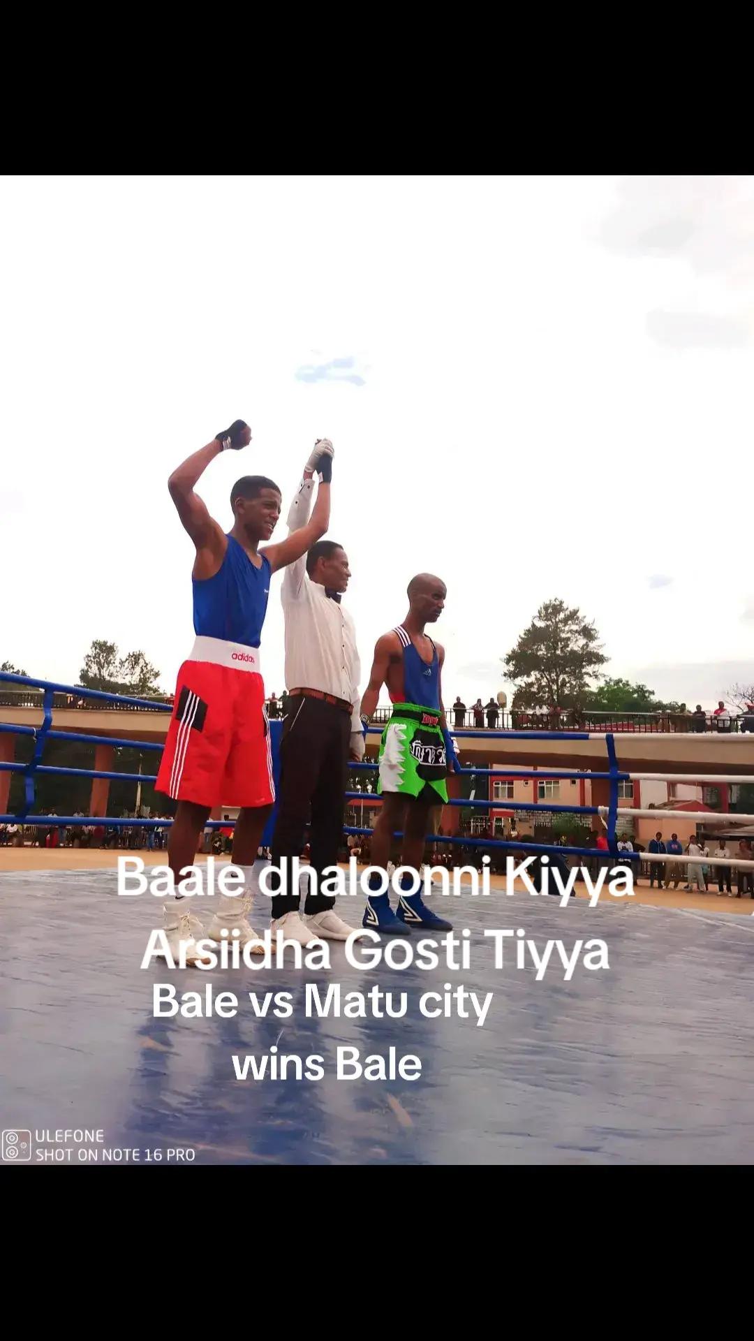 @Jemu boxing