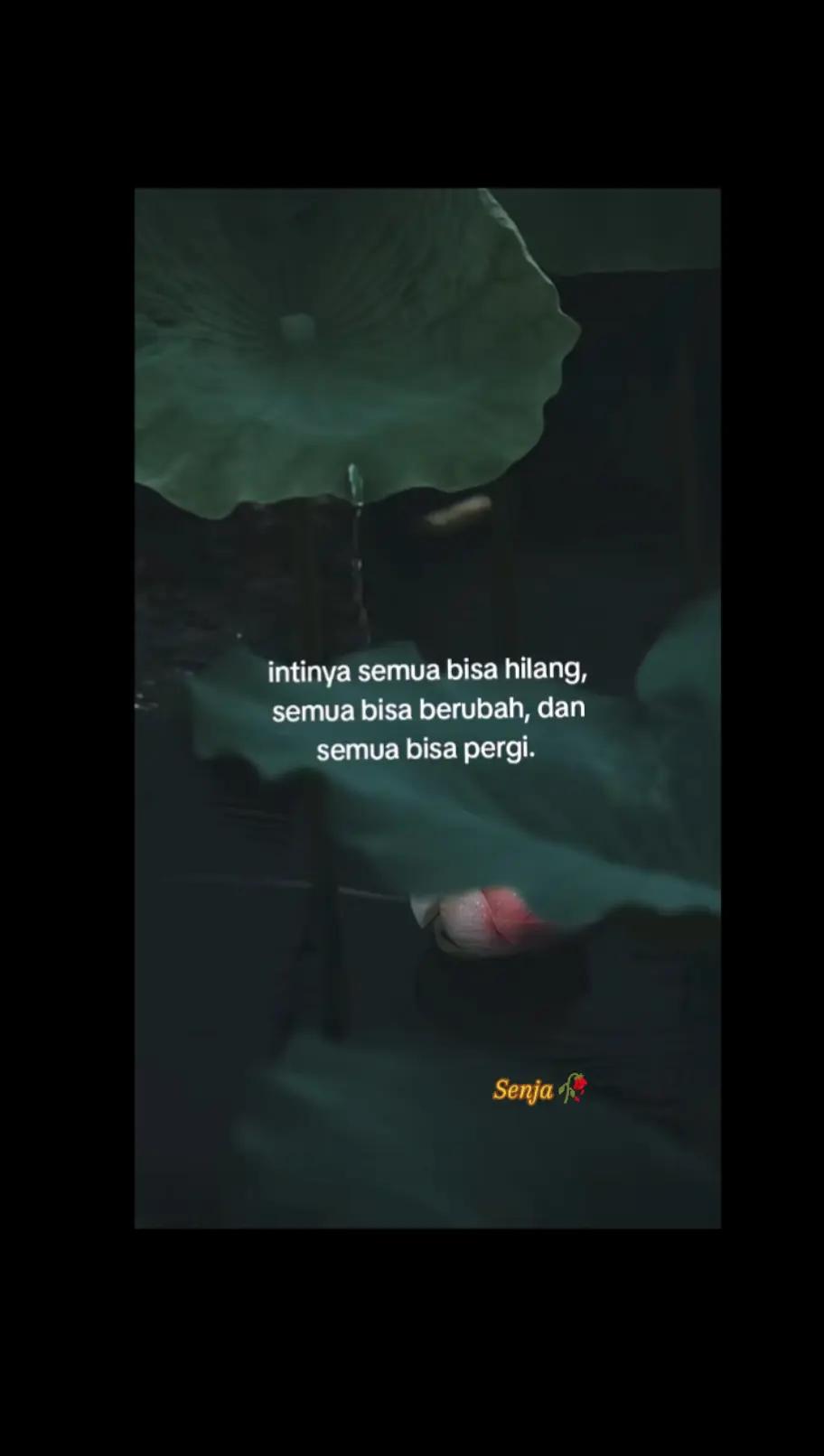 @๐
๐
ก`๐ฌ๐๐๐๐๐ฅ๐ฅ