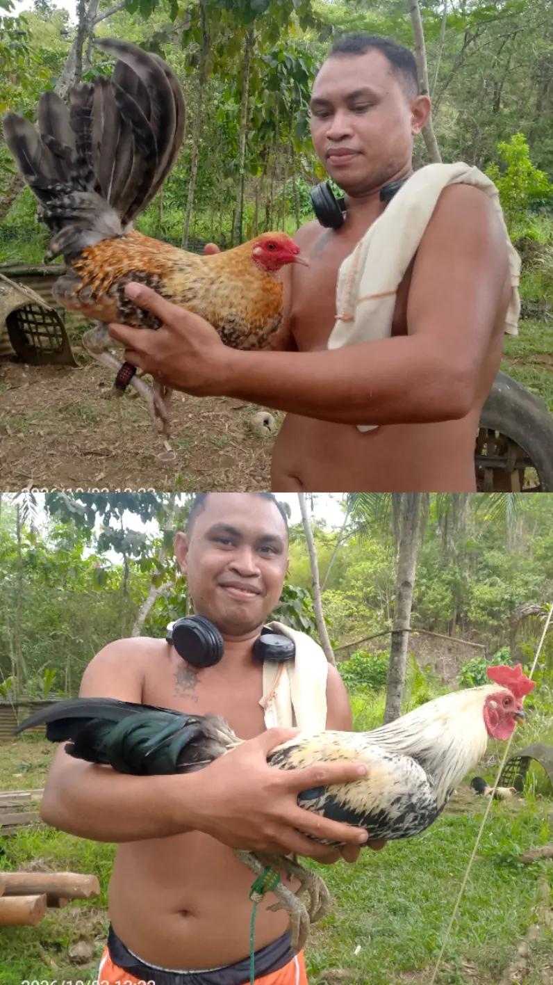 @isang chief engineer ๐ณ๏ธโโ๐ณ๏ธโ