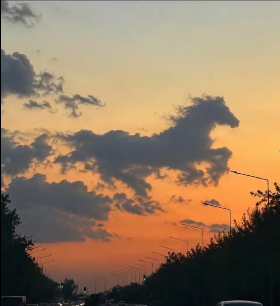 @L A &Ccedil; I N  041