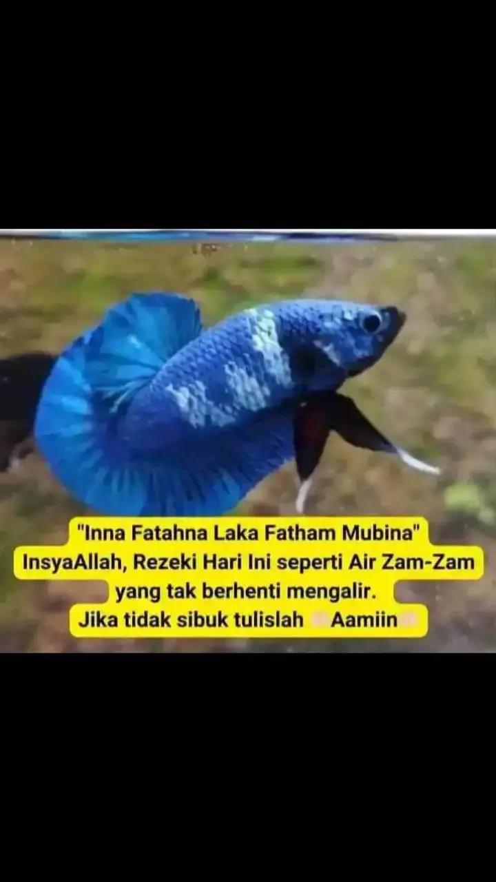 @FITRIANI