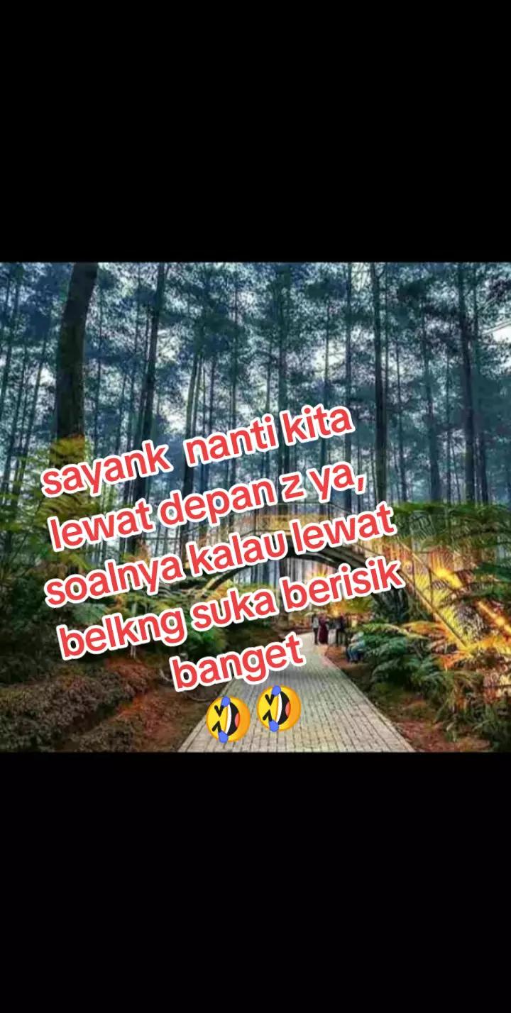 @ad virgo