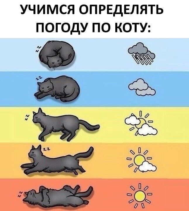 @Дейкн🐙🐇