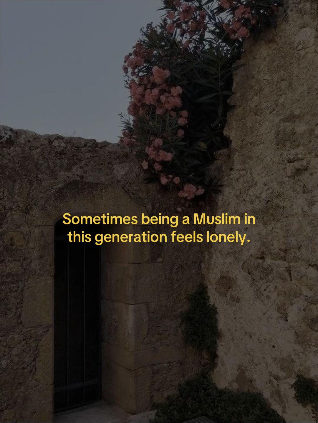 @🪽