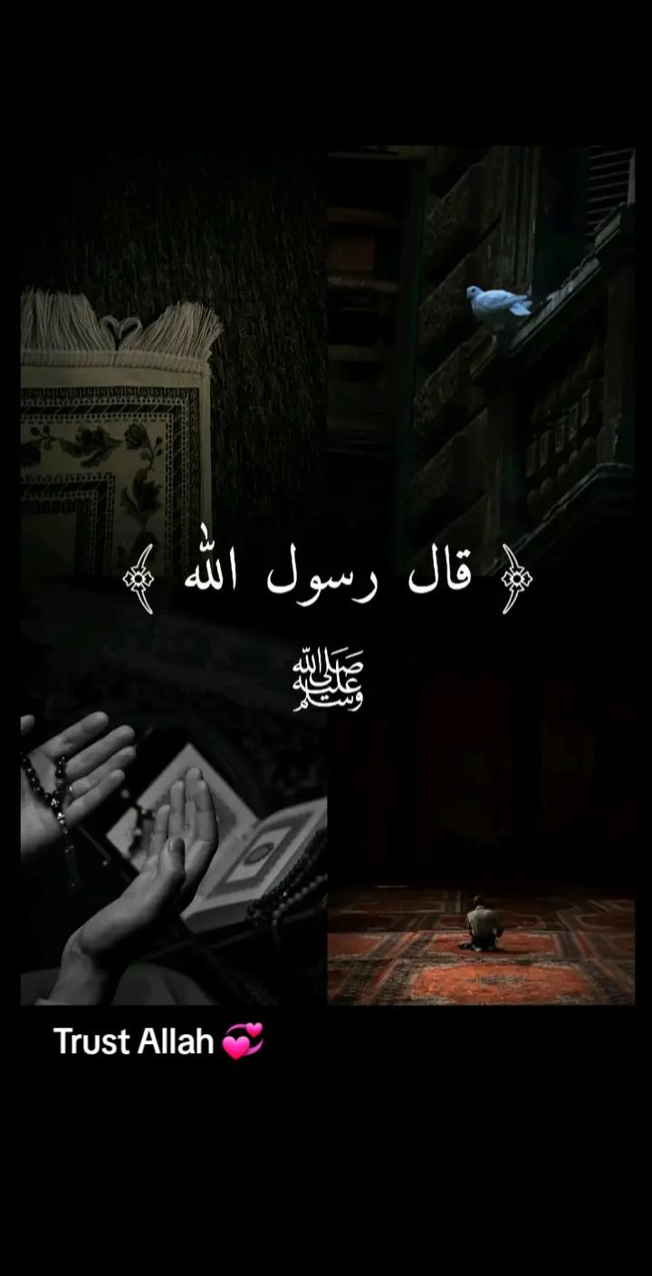 @user3813238068634