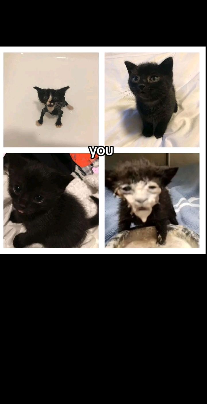 @B