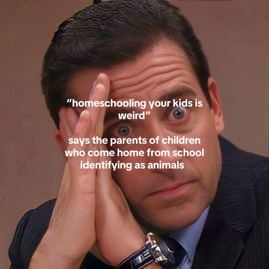 @healwithlil