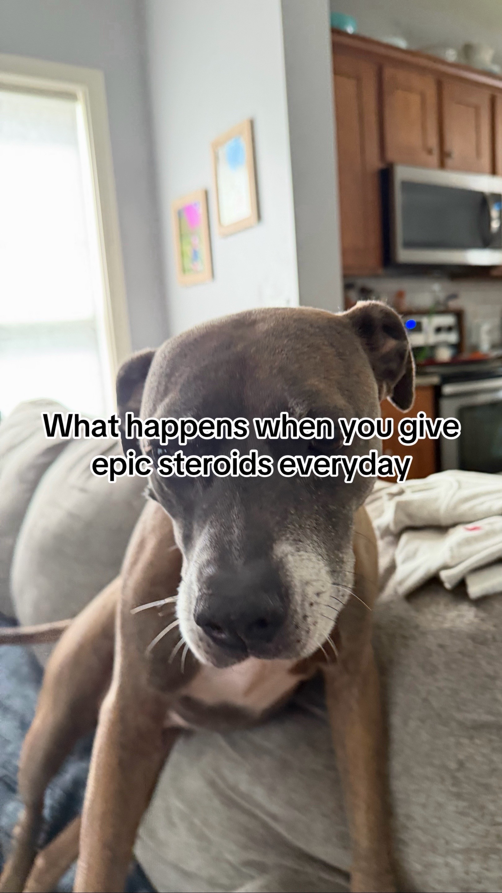 @ᶜᵒʰᵉⁿ