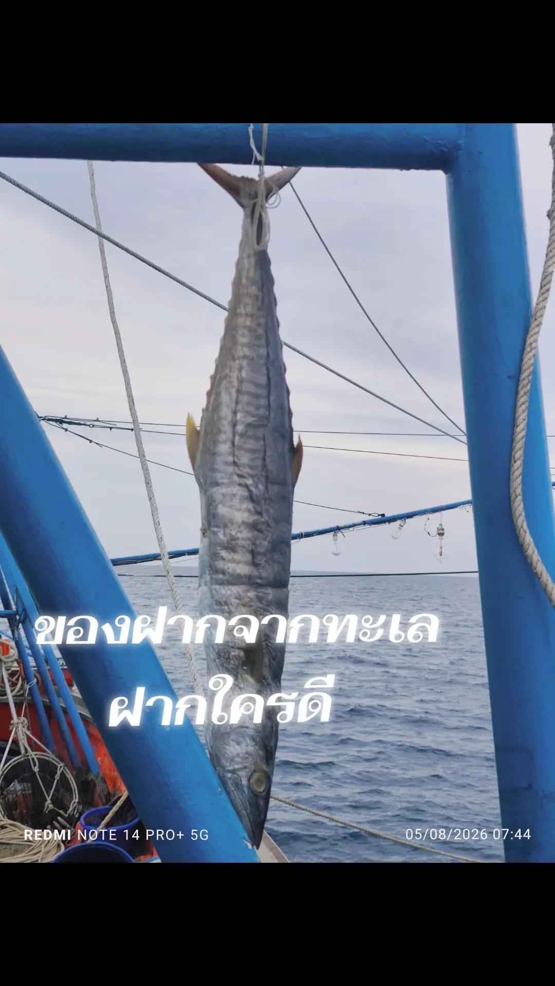@Ar