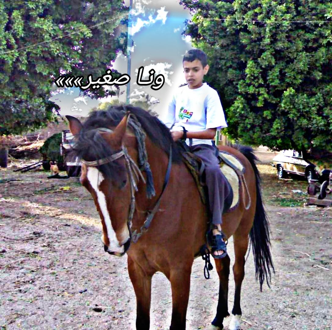 @شريف أبو إسماعيل ❤ ✨
