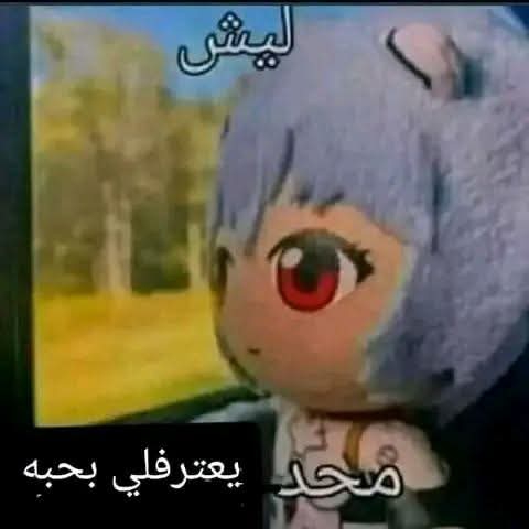 @فرطوش الفساوي الايمو النحاسي