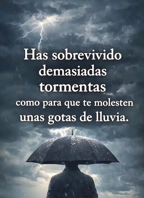 @lobo guerrero 🧑🦽🦿