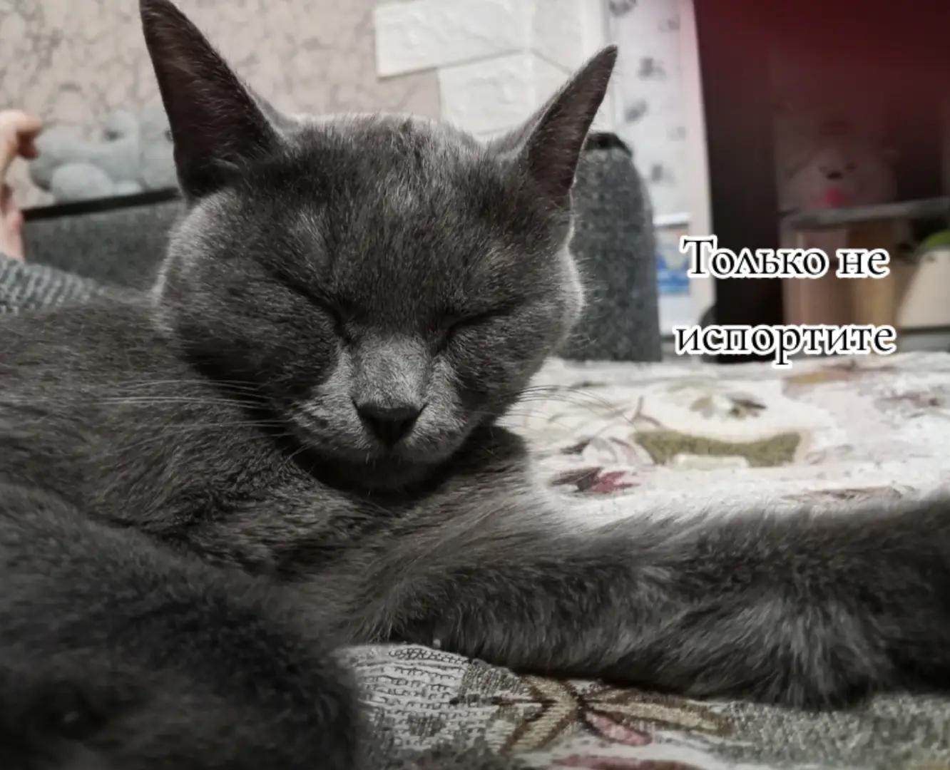 @ухожу нахуй