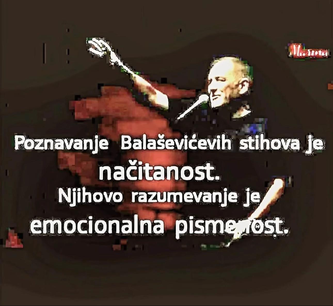 @SREDA🐾
