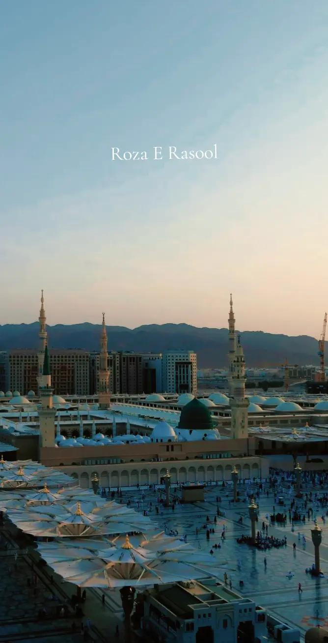 @ABU-MUSA