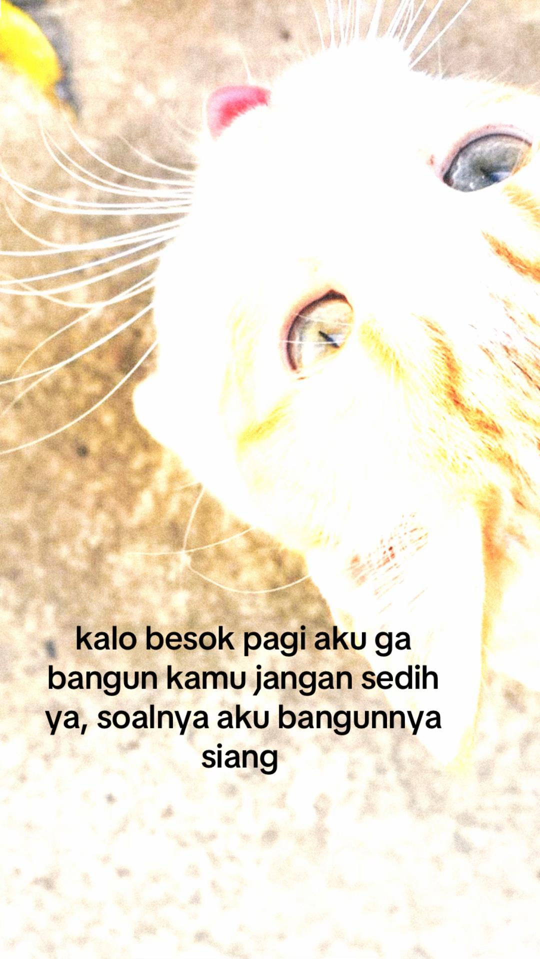 @ama