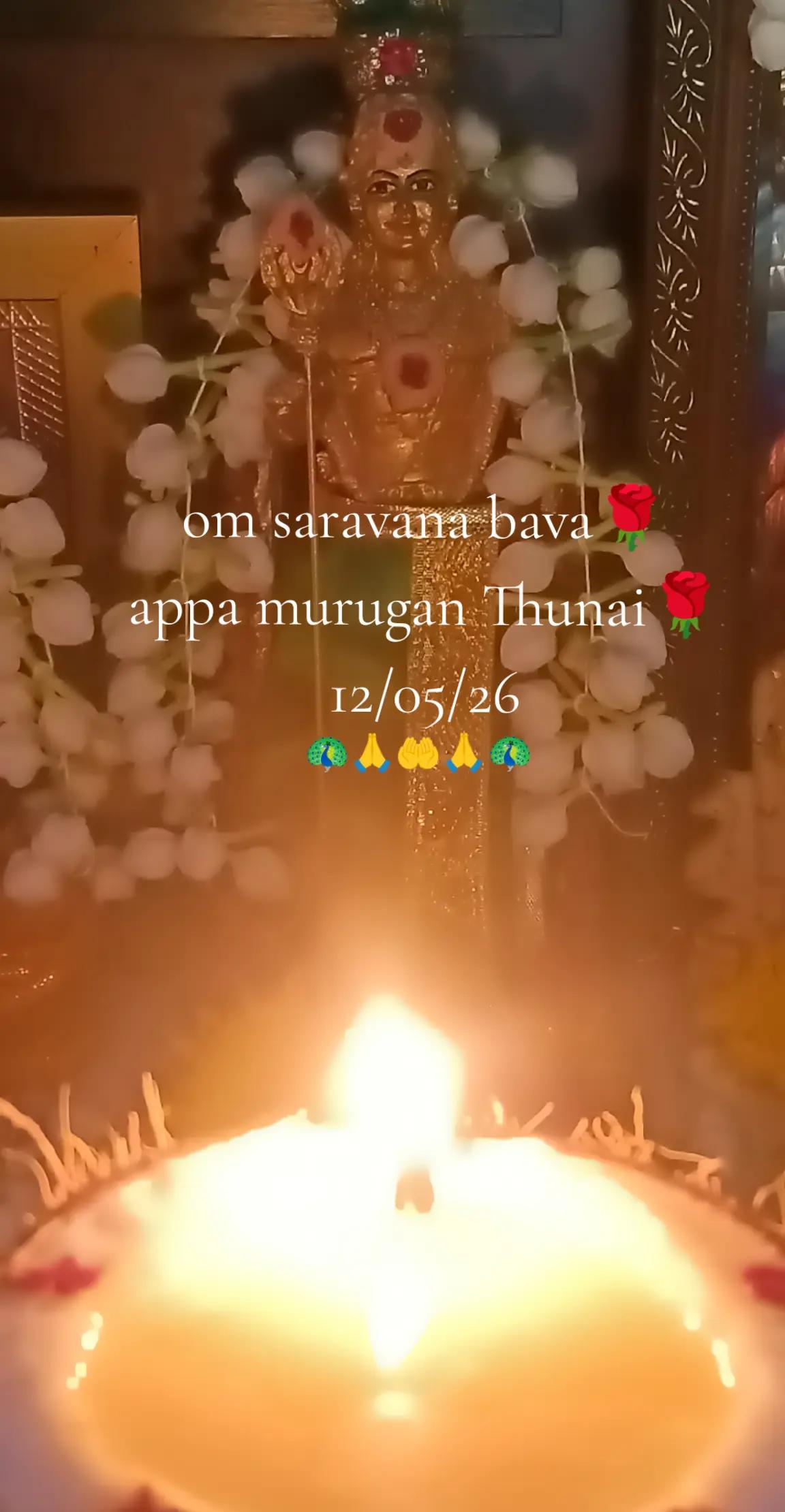 @M.Mageswary🌹✨💜