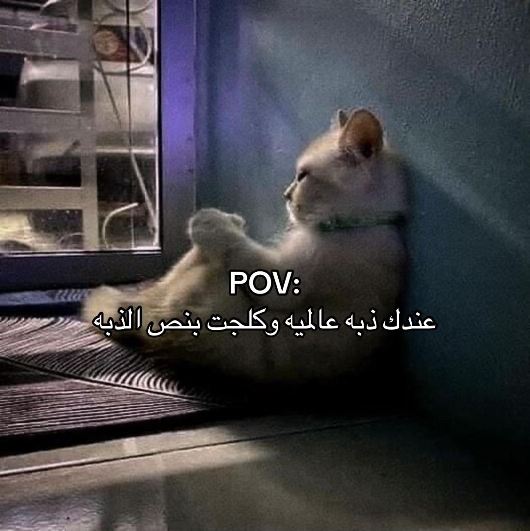 @Repost without music