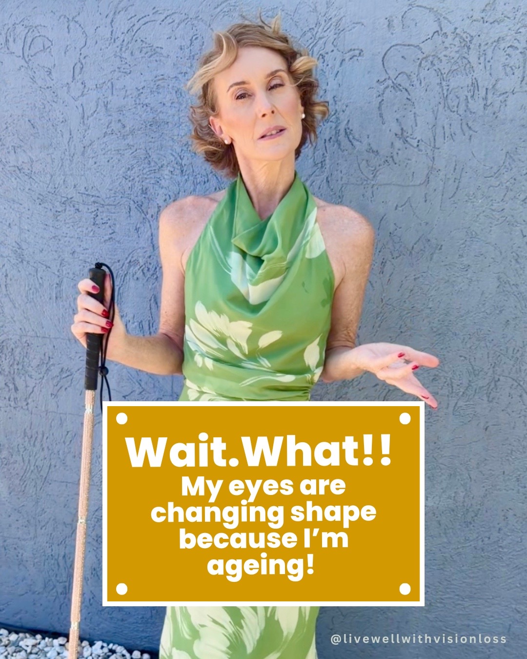 @livewellwithvisionloss