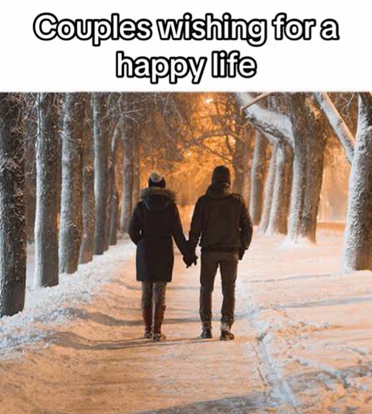 @MR.Cake