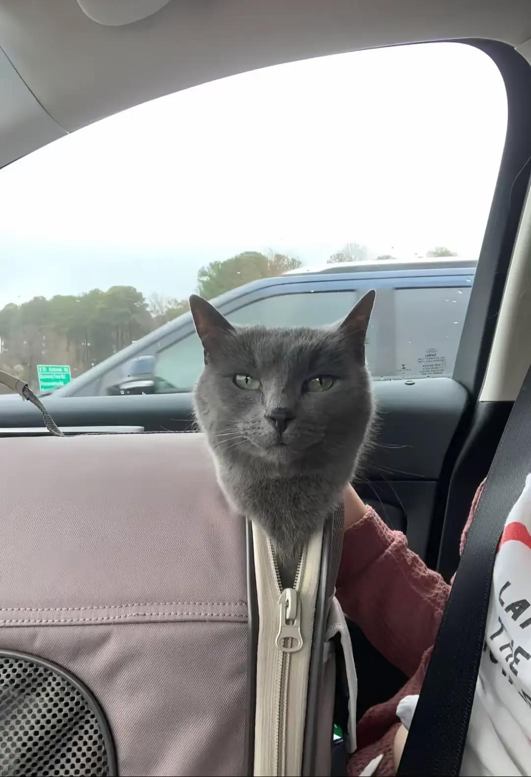 @князь котлетный
