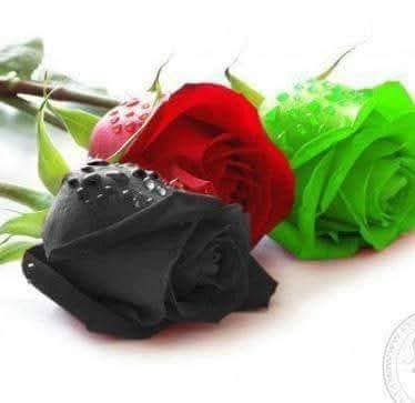 @wahedkhan9696