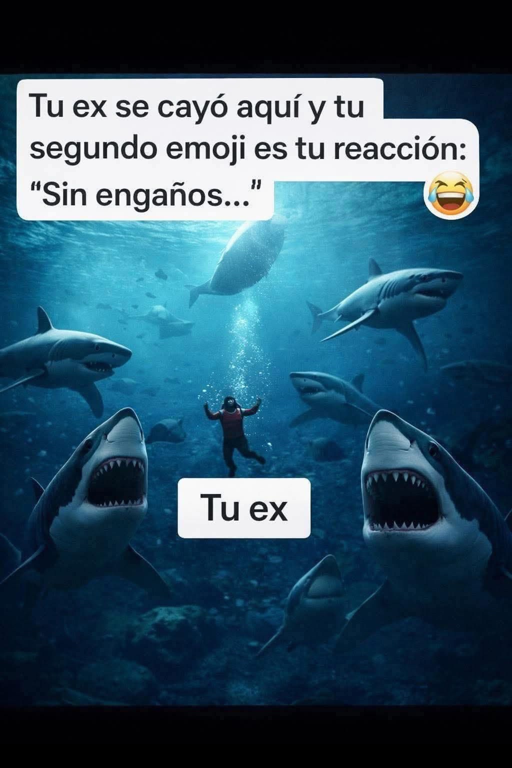 @Lili recomienda