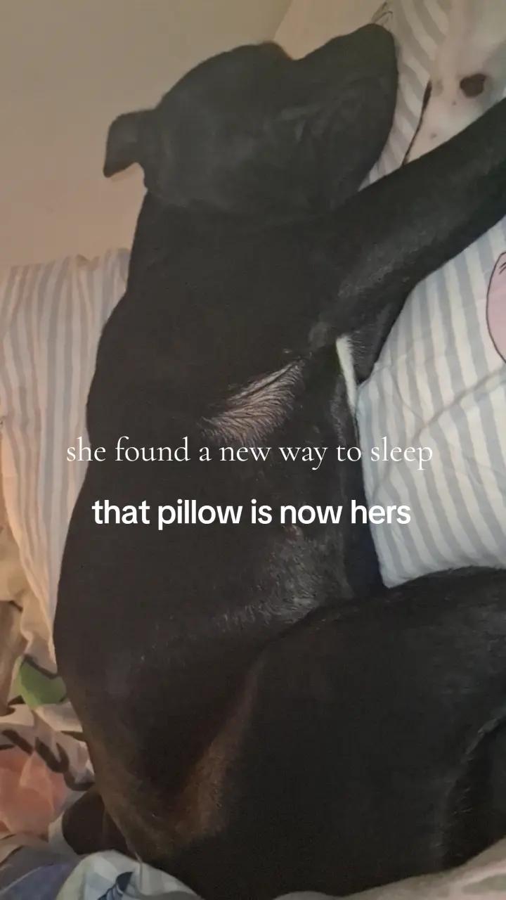 @jackobear