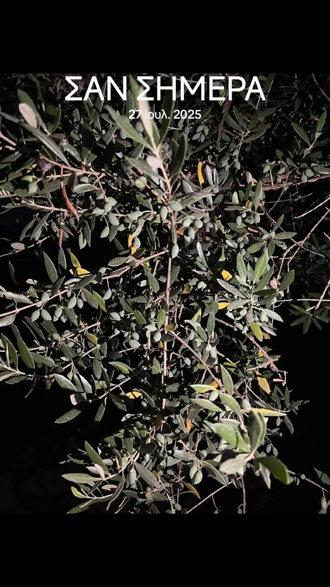 @&Alpha;&gamma;&alpha;&lambda;&iota;&alpha;&nu;ό&sigmaf; &Iota;&omega;ά&nu;&nu;&eta;&sigmaf; &Gamma;&epsilon;&omega;&pi;ό&nu;&omicron;&sigmaf;