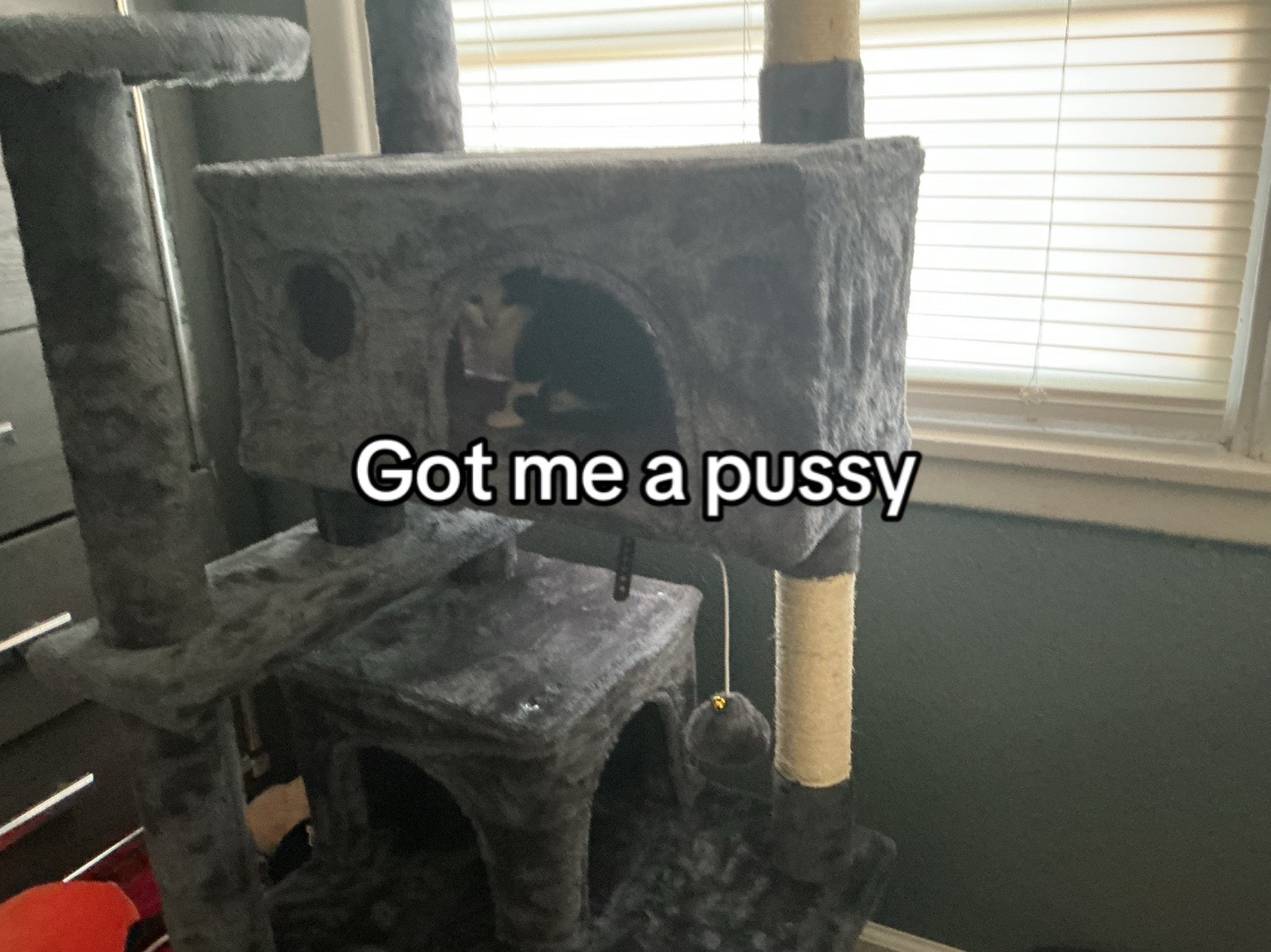 @🫧E Ł Ǐ Ø🫧