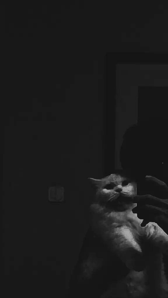 @🚬