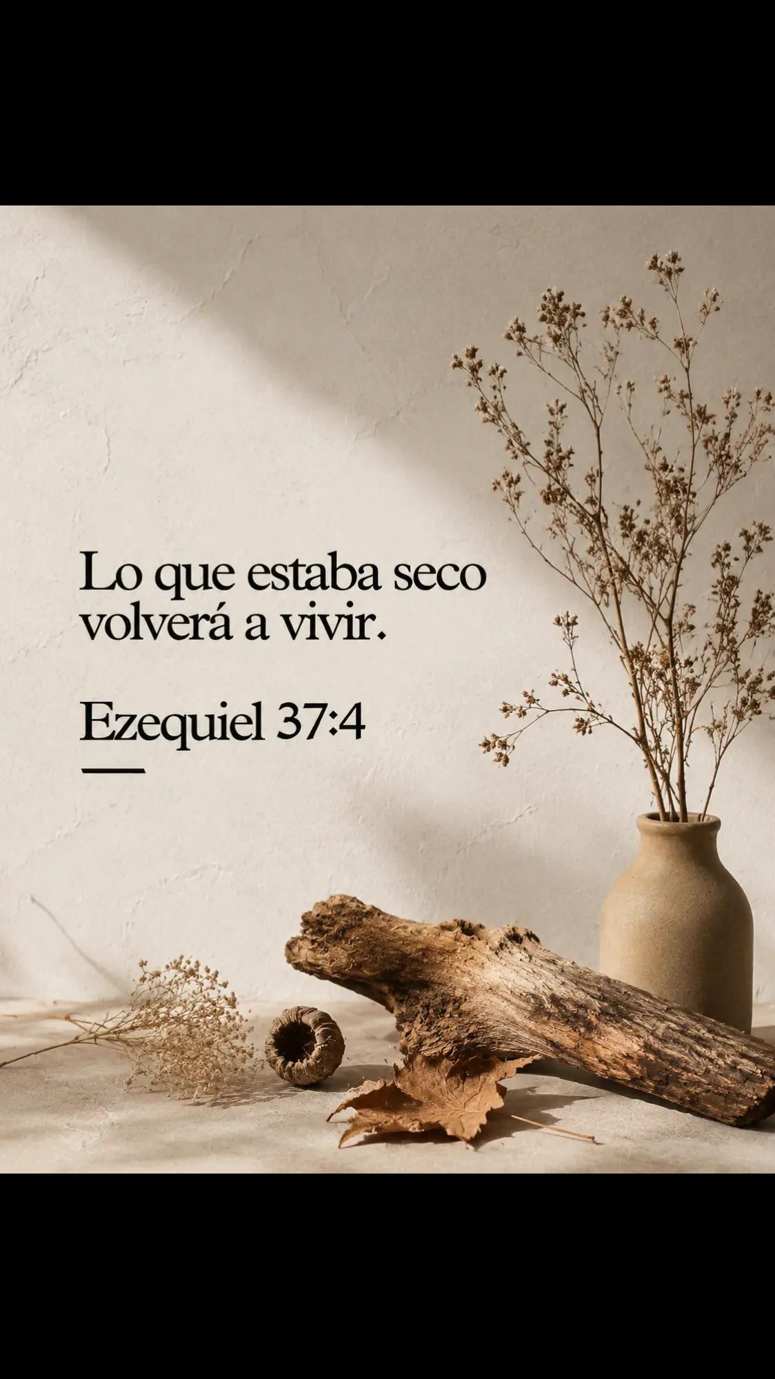 @Antonia Hernández 🫅🇬🇹🇬🇹
