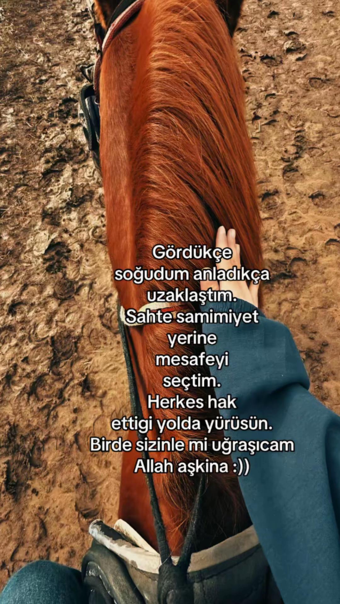 @Buse.sarı7