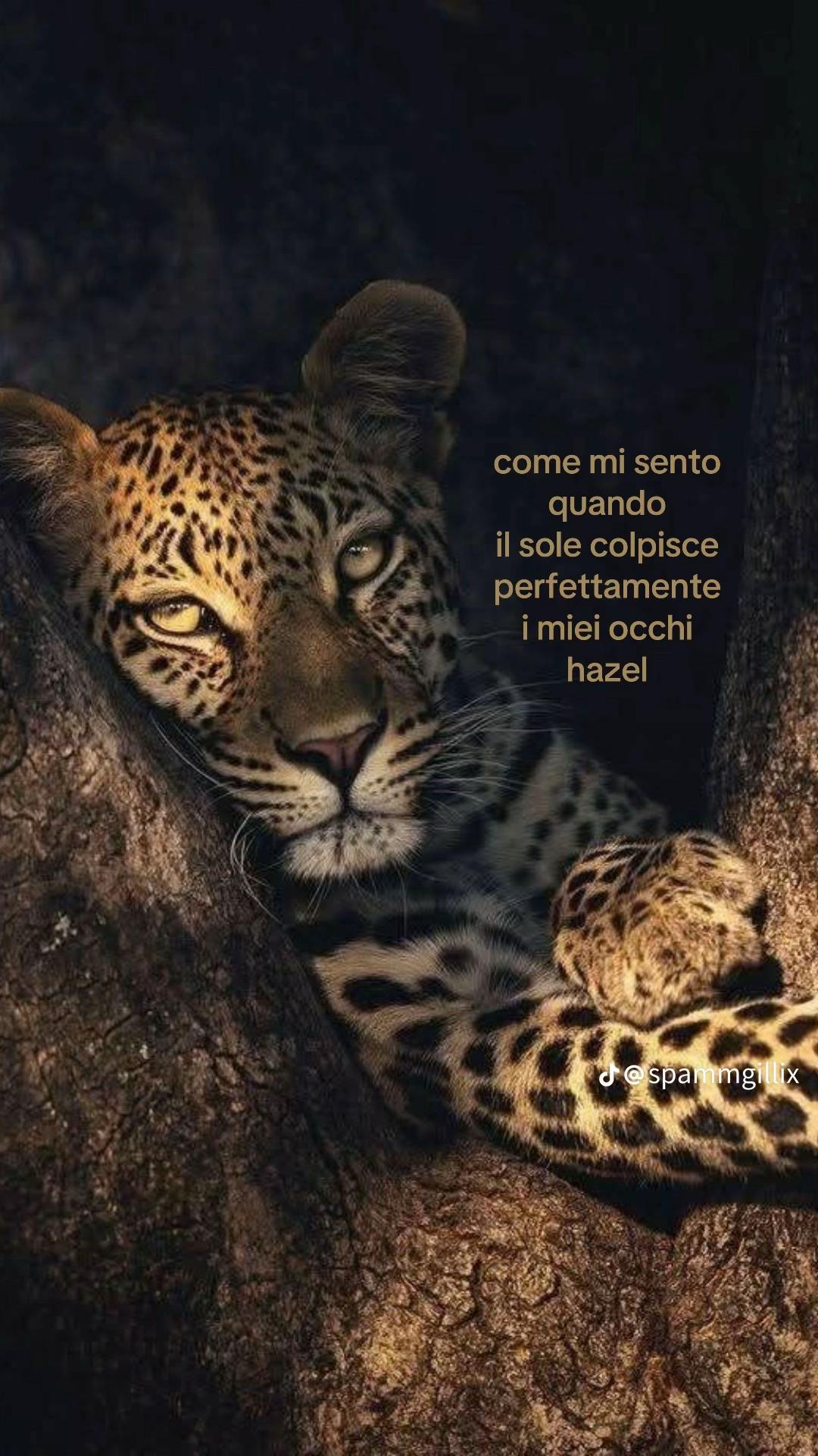 @valeria